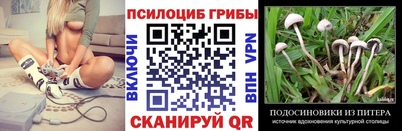Галлюциногенные грибы прущие грибы  Купить закладки  Десногорск 
